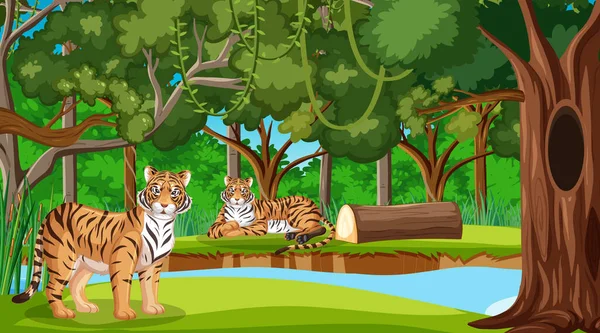 Familia Tigre Escena Del Bosque Con Muchos Árboles Ilustración — Archivo Imágenes Vectoriales