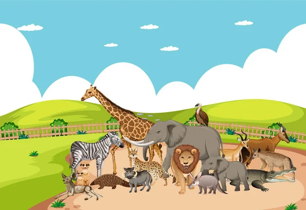 Grupo Animais Africanos Selvagens Cena Zoológico Ilustração —  Vetores de Stock