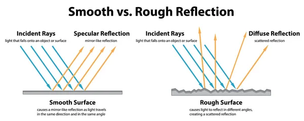 Diagram Showing Smooth Rough Reflection Illustration — Stock Vector