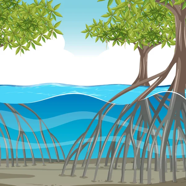 Naturszene Mit Mangrovenbäumen Wasser Illustration — Stockvektor