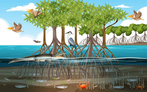 Mangrovenwald Szene Tag Mit Tieren Wasser Illustration — Stockvektor