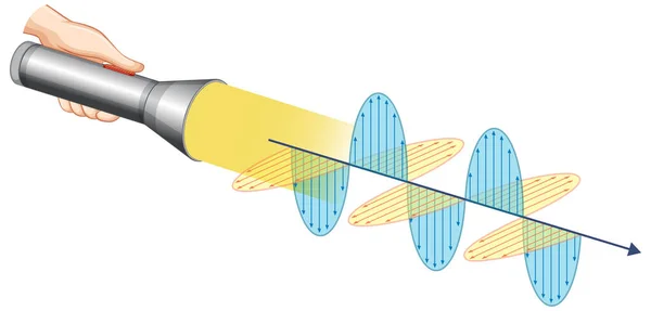 Diagram Met Lichtelektromagnetische Golfillustratie — Stockvector