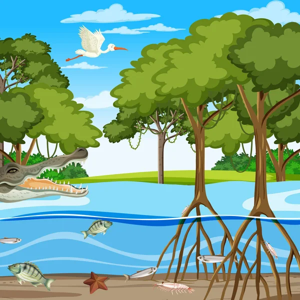 Mangrove Forest Scene Daytime Animals Underwater Illustration — Stock Vector