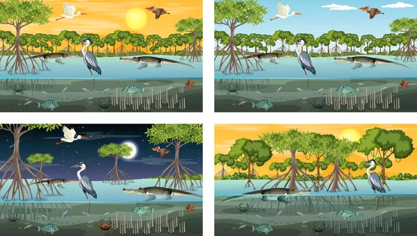 Diferentes Cenários Paisagem Florestal Manguezal Com Vários Animais Ilustração —  Vetores de Stock