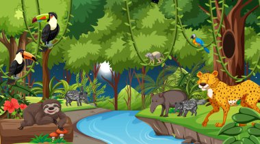 Geceleri orman manzarası farklı vahşi hayvan resimleriyle dolu.