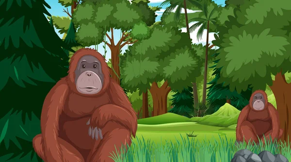 Орангутанг Лесах Тропических Лесах Многими Иллюстрациями Деревьев — стоковый вектор