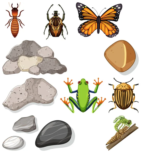 Diferentes Tipos Insectos Con Elementos Naturaleza Ilustración — Vector de stock