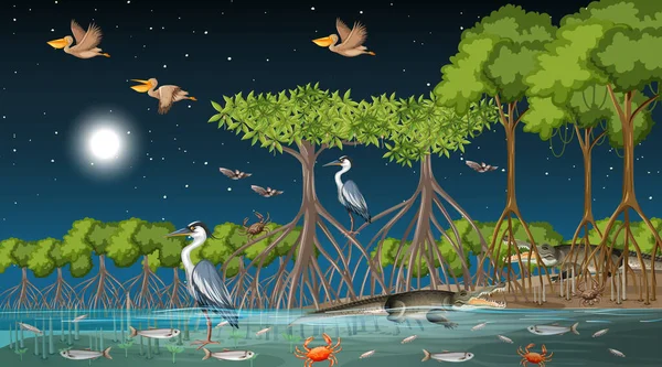 Mangrove Skog Landskap Scen Natten Med Många Olika Djur Illustration — Stock vektor