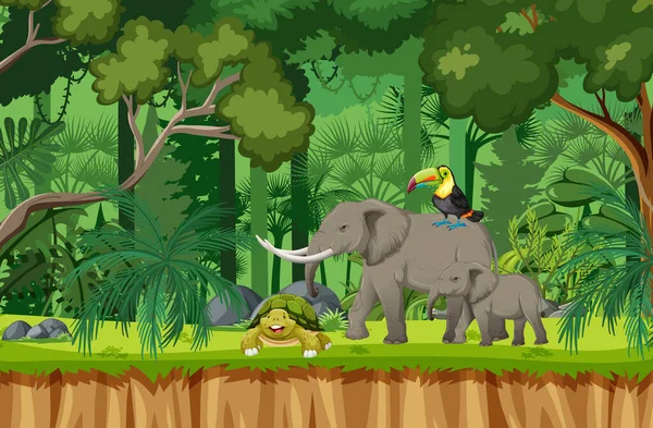 Escena Selva Tropical Con Varios Animales Salvajes Ilustración — Vector de stock