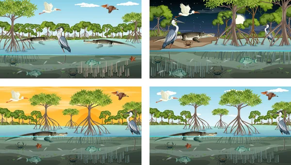 Différentes Scènes Paysage Forêt Mangrove Avec Diverses Illustrations Animaux — Image vectorielle