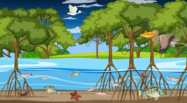 Animalele Trăiesc Pădurea Mangrove Timp Noapte Ilustrație — Vector de stoc