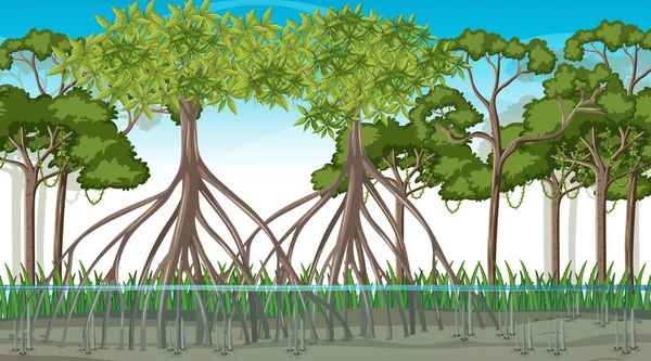 Φύση Σκηνή Δάσος Mangrove Την Ημέρα Εικονογράφηση Στυλ Κινουμένων Σχεδίων — Διανυσματικό Αρχείο