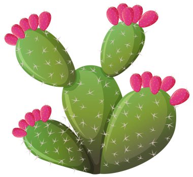 Çizgi film tarzında dikenli kaktüs beyaz arkaplan illüstrasyonunda izole edilmiş