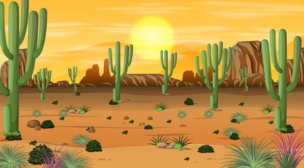 Deserto Paesaggio Forestale Tramonto Scena Del Tempo Con Molti Cactus — Vettoriale Stock