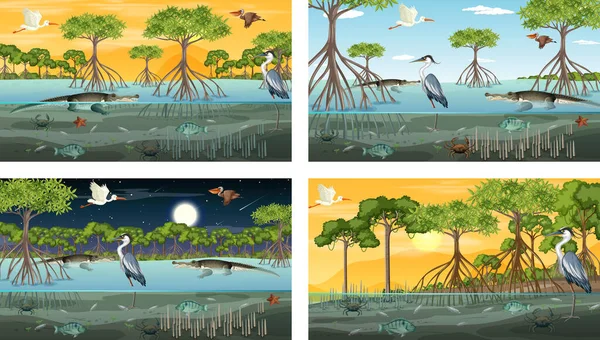 Verschiedene Mangrovenwälder Landschaftsszenen Mit Tieren Und Pflanzen Illustration — Stockvektor