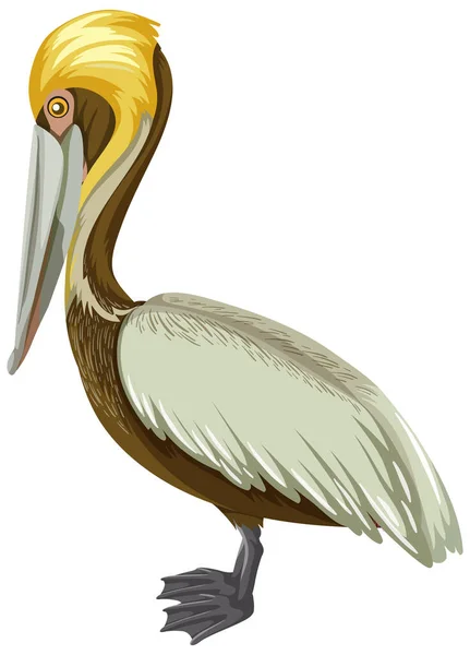 Bruine Pelican Cartoon Stijl Witte Achtergrond Illustratie — Stockvector