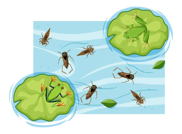 池のイラストの水生昆虫のトップビュー — ストックベクタ