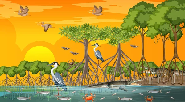 Mangrove Bos Landschap Scène Bij Zonsondergang Tijd Met Veel Verschillende — Stockvector