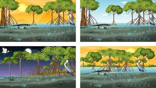 Різні Мангрові Лісові Пейзажні Сцени Ілюстраціями Тварин Рослин — стоковий вектор