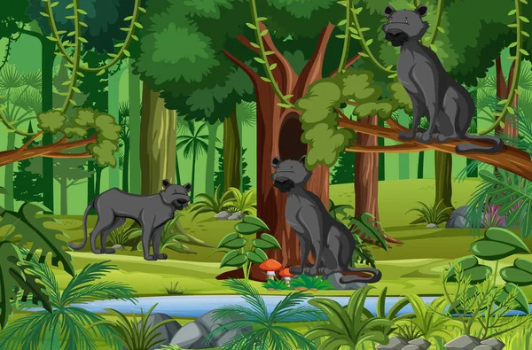 Tropical Rainforest Scene Black Panther Family Illustration — Stock Vector