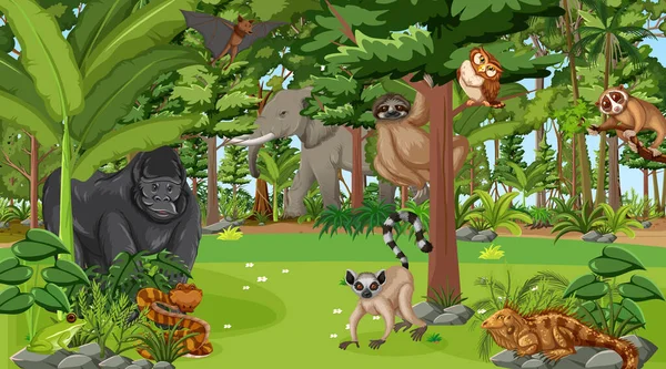Δάσος Στην Ημερήσια Σκηνή Πολλά Διαφορετικά Άγρια Ζώα Εικονογράφηση — Διανυσματικό Αρχείο