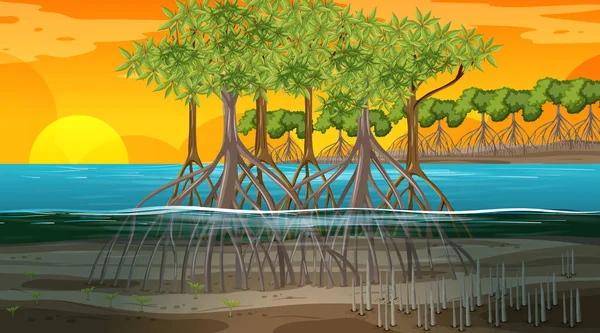 Manglar Bosque Paisaje Escena Atardecer Tiempo Ilustración — Vector de stock