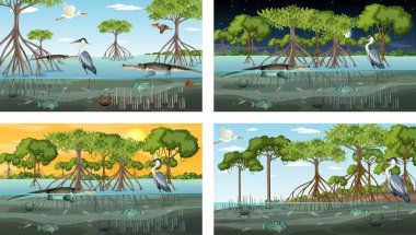 Farklı mangrov ormanları ve hayvan resimleri.
