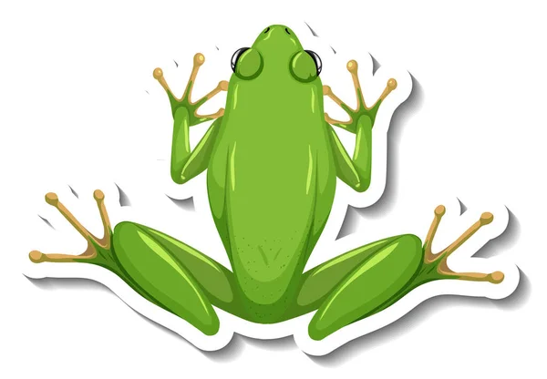 Шаблон Наклейки Видом Сверху Изолированную Иллюстрацию Зеленой Лягушки — стоковый вектор