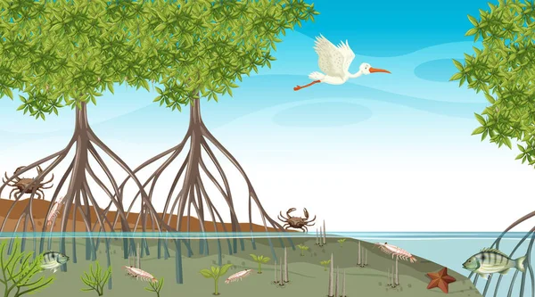 Zvířata Žijí Lese Mangrove Denní Scéně Ilustrace — Stockový vektor