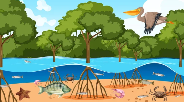 昼間の風景図でマングローブ林に住んでいる動物 — ストックベクタ