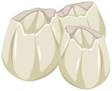 Beyaz arkaplan illüstrasyonunda çizgi film tarzında Ivoly Barnacles