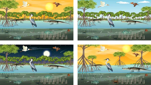 Différentes Scènes Paysage Forestier Mangroves Avec Illustration Animaux — Image vectorielle