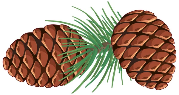 Pinecorno Con Aghi Pino Illustrazione Isolata — Vettoriale Stock