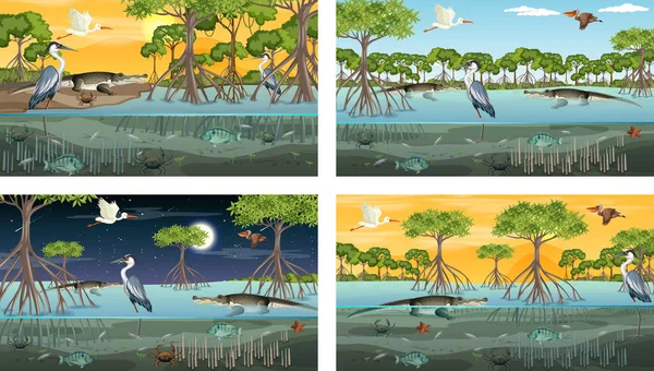 Verschiedene Mangrovenwälder Landschaft Szenen Mit Tieren Illustration — Stockvektor