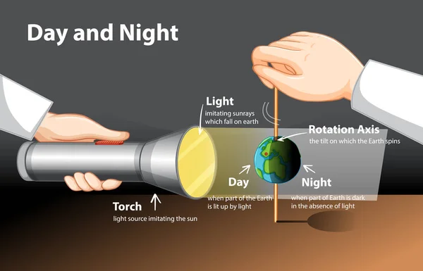 Diagramm Zeigt Tag Und Nacht Globus Experiment Illustration — Stockvektor