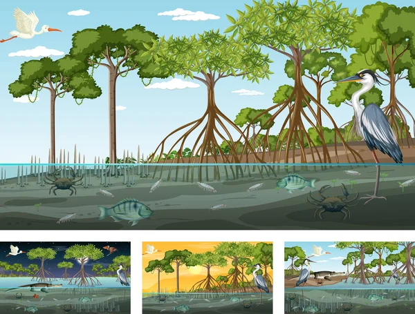Différentes Scènes Paysage Forêt Mangrove Avec Diverses Illustrations Animaux — Image vectorielle