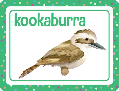 Kookaburra illüstrasyonlu kelime bilgisi kartı