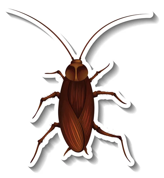 Una Plantilla Pegatina Con Vista Superior Una Ilustración Aislada Cucaracha — Vector de stock