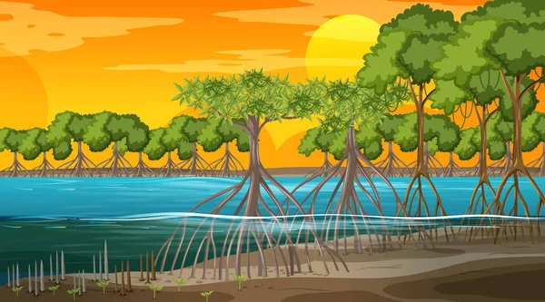 Mangrove Peisaj Pădure Scenă Apus Soare Timp Ilustrare — Vector de stoc