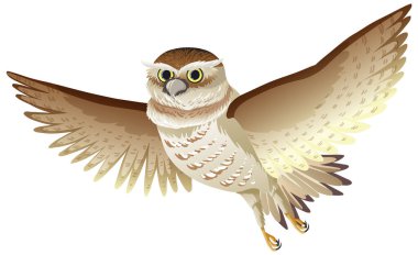 Owl bird in flying pose isolated illustration