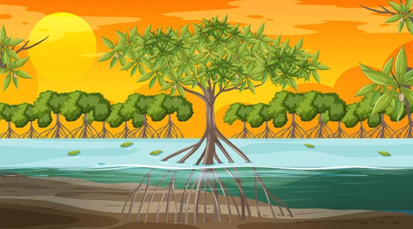 Mangrove Forest Landscape Scene Sunset Time Illustration — Stock Vector