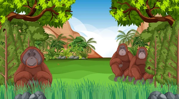 Orangotango Cena Floresta Floresta Tropical Com Muitas Árvores Ilustração — Vetor de Stock