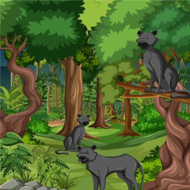 Forest or rainforest scene with black panther family illustration