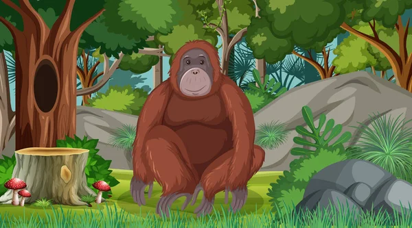 Orangután Escena Del Bosque Selva Tropical Con Muchos Árboles Ilustración — Archivo Imágenes Vectoriales