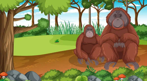 Orangután Escena Del Bosque Selva Tropical Con Muchos Árboles Ilustración — Archivo Imágenes Vectoriales