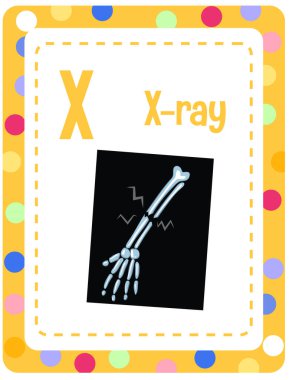 X-ray çizimi için X harfli alfabe bellek kartı