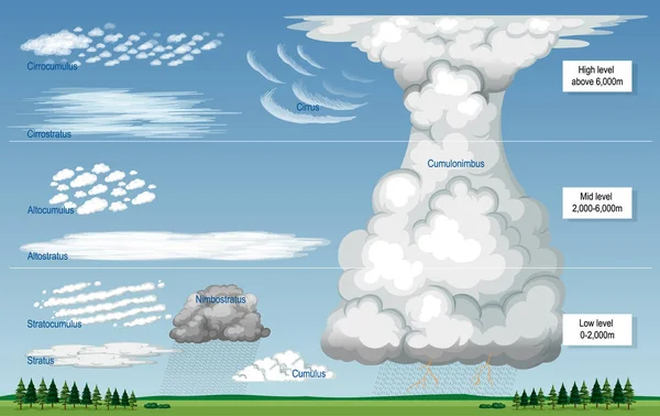Simleri Gökyüzü Seviyeleri Çizimi Olan Farklı Tipteki Bulutlar — Stok Vektör