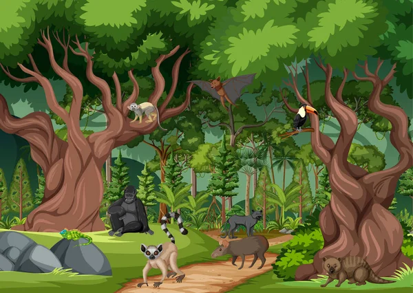 Cena Floresta Tropical Com Vários Animais Selvagens Ilustração —  Vetores de Stock