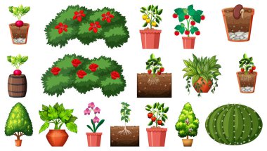 Beyaz arkaplan illüstrasyonunda izole edilmiş çömleklerdeki farklı bitkiler