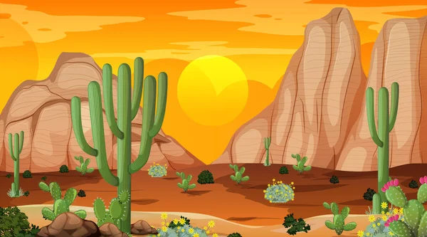 多くのサボテンのイラストと日没時のシーンで砂漠の森の風景 — ストックベクタ